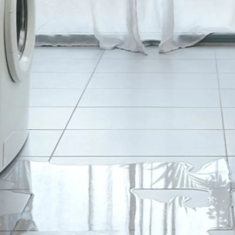 Appliance Leak Cleanup in Pinehurst, MA
