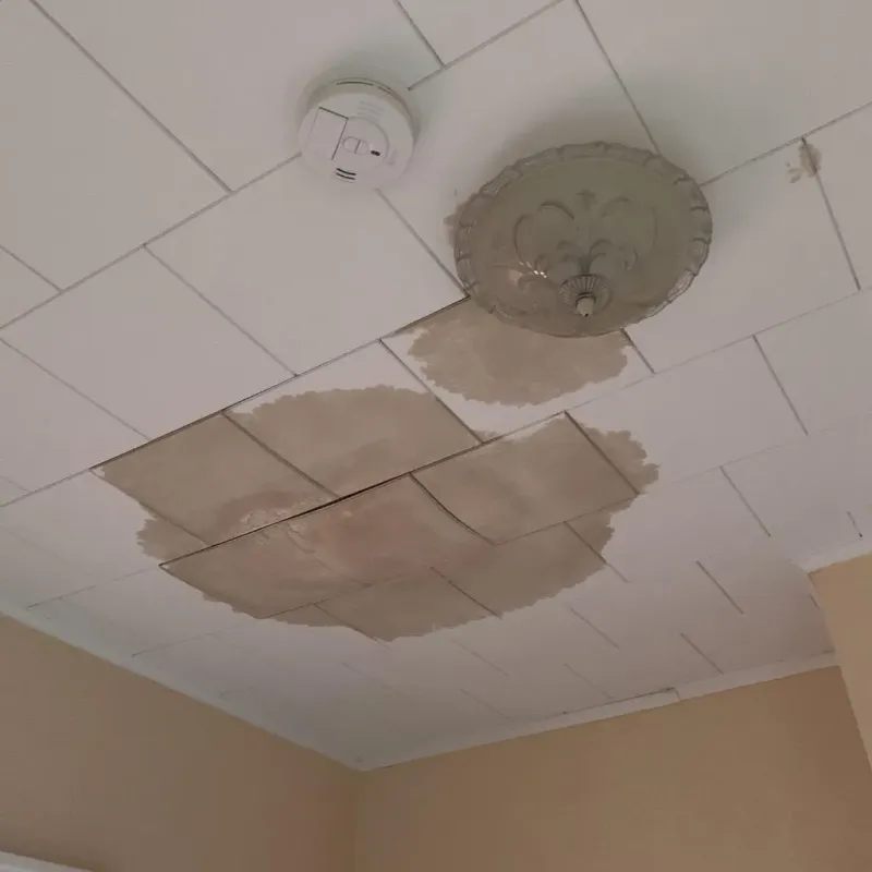 Ceiling Water Damage Repair in Pinehurst, MA