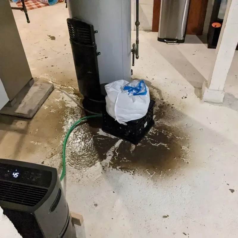 Sewage Backup Cleanup Service in Pinehurst, MA